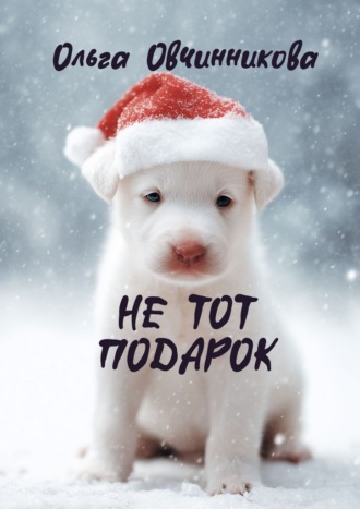 Ольга Юрьевна Овчинникова. Не тот подарок