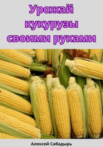 Алексей Сабадырь. Урожай кукурузы своими руками