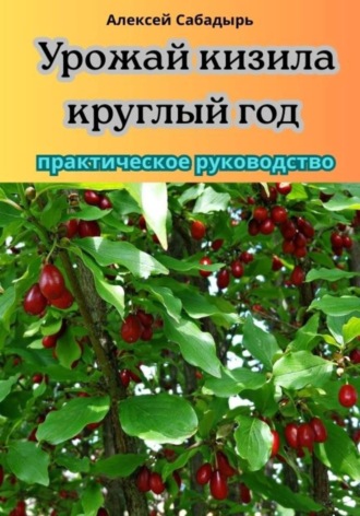 Алексей Сабадырь. Урожай кизила круглый год практическое руководство