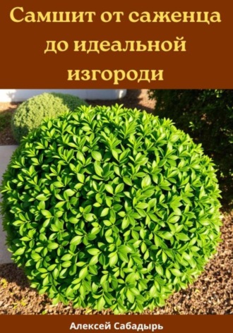 Алексей Сабадырь. Самшит от саженца до идеальной изгороди