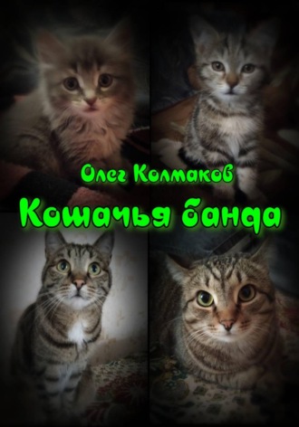 Олег Колмаков. Кошачья банда