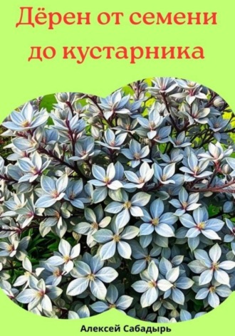 Алексей Сабадырь. Дёрен от семени до кустарника