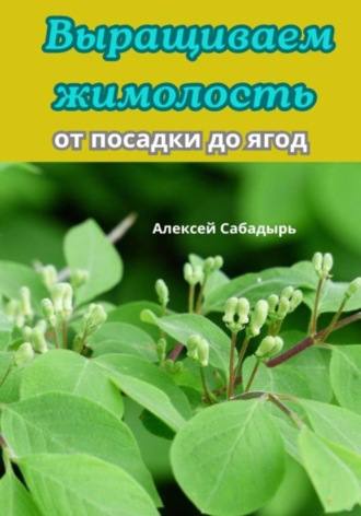 Алексей Сабадырь. Выращиваем жимолость от посадки до ягод