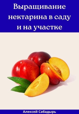 Алексей Сабадырь. Выращивание нектарина в саду и на участке
