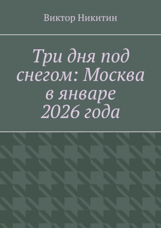 Три дня под снегом: Москва в январе 2026 года. 