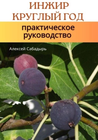 Алексей Сабадырь. Инжир круглый год практическое руководство