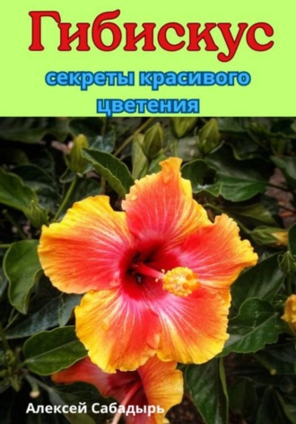 Алексей Сабадырь. Гибискус секреты красивого цветения