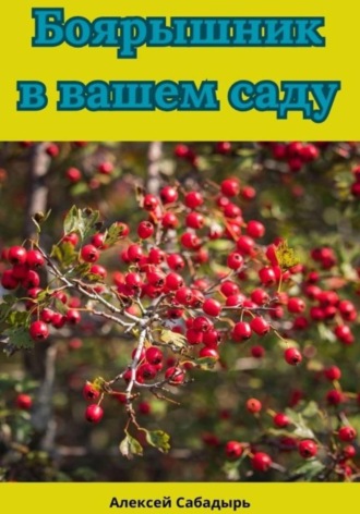 Алексей Сабадырь. Боярышник в вашем саду
