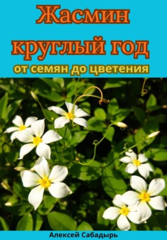 Алексей Сабадырь. Жасмин круглый год от семян до цветения
