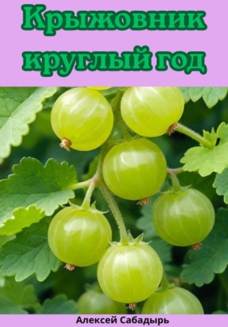 Алексей Сабадырь. Крыжовник круглый год