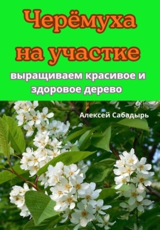 Черёмуха на участке выращиваем красивое и здоровое дерево. 
