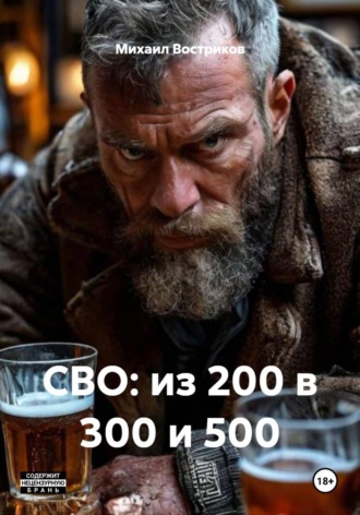 Михаил Востриков. СВО: из 200 в 300 и 500