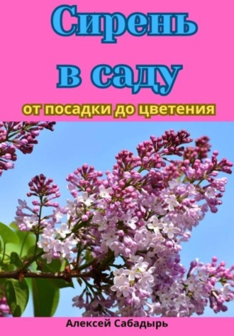 Алексей Сабадырь. Сирень в саду от посадки до цветения
