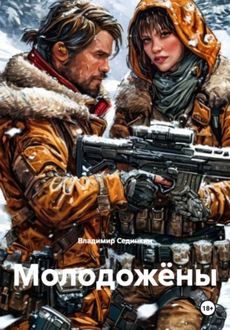 Владимир Александрович Сединкин. Молодожёны
