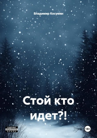 Владимир Адександрович Косумян. Стой кто идет?!