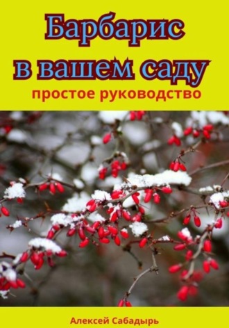 Алексей Сабадырь. Барбарис в вашем саду простое руководство