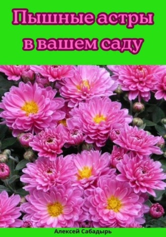 Алексей Сабадырь. Пышные астры в вашем саду