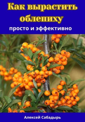 Алексей Сабадырь. Как вырастить облепиху просто и эффективно