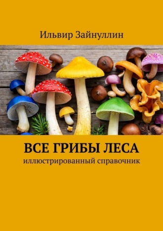 Ильвир Ирекович Зайнуллин. Все грибы леса. Иллюстрированный справочник
