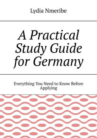 Lydia Nmeribe. A Practical Study Guide for Germany. Everything You Need to Know Before Applying