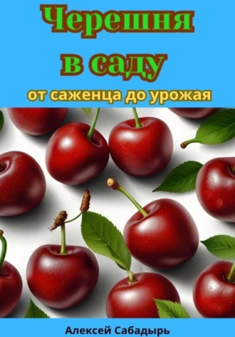 Алексей Сабадырь. Черешня в саду от саженца до урожая