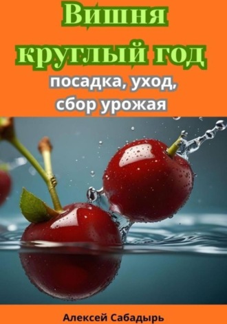 Алексей Сабадырь. Вишня круглый год посадка, уход, сбор урожая