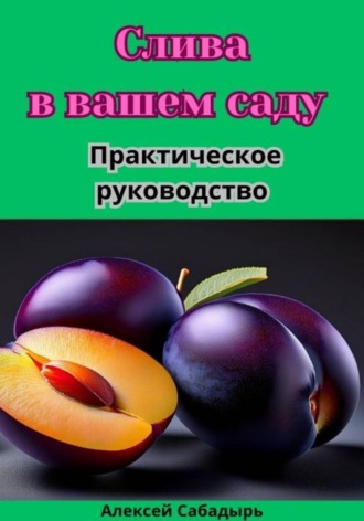Алексей Сабадырь. Слива в вашем саду практическое руководство
