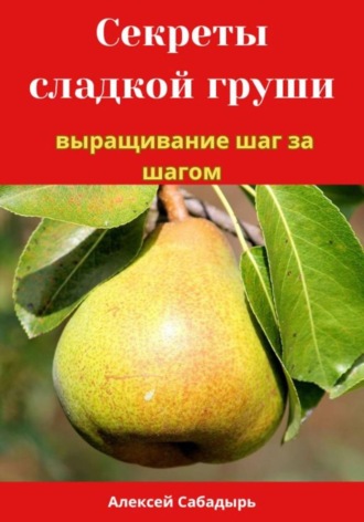 Секреты сладкой груши выращивание шаг за шагом. Алексей Сабадырь