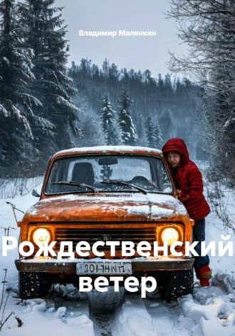 Владимир Юрьевич Малянкин. Рождественский ветер