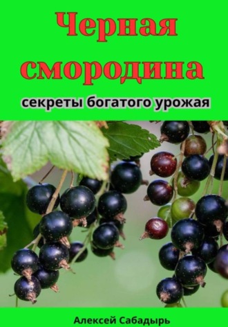 Черная смородина секреты богатого урожая. Алексей Сабадырь
