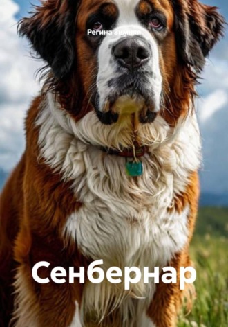 Регина Зимняя. Сенбернар