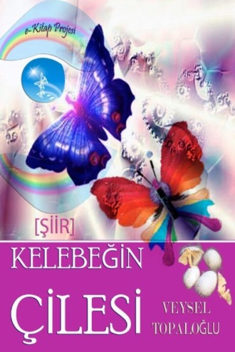 Veysel  Topaloglu. Kelebeğin Çilesi