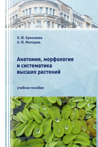 А. Ю. Матецкая. Анатомия, морфология и систематика высших растений.