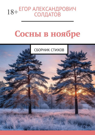 Егор Александрович Солдатов. Сосны в ноябре. Сборник стихов