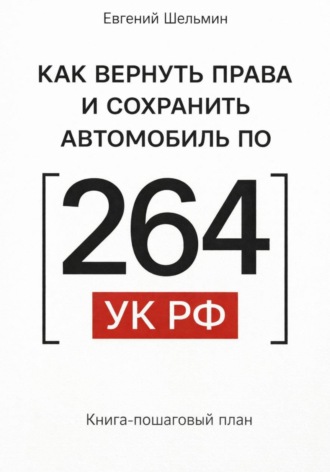 Евгений Шельмин. Как вернуть права и сохранить автомобиль по 264 УК