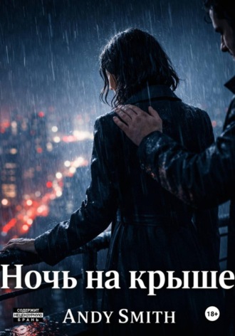 Ночь на крыше. 