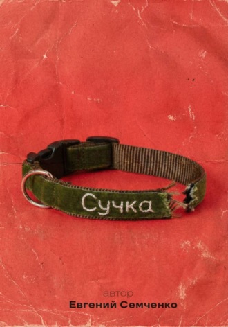 Евгений Семченко. Сучка