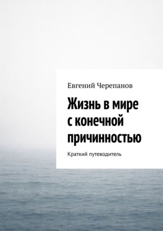 Евгений Черепанов. Жизнь в мире с конечной причинностью. Краткий путеводитель