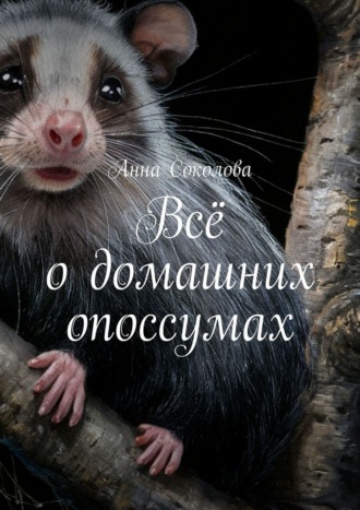 Анна Соколова. Всё о домашних опоссумах