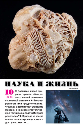 . Наука и жизнь №10/2025