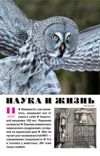 Наука и жизнь №11/2025. 