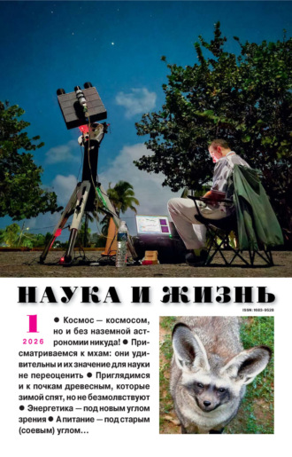 Наука и жизнь №01/2026. 