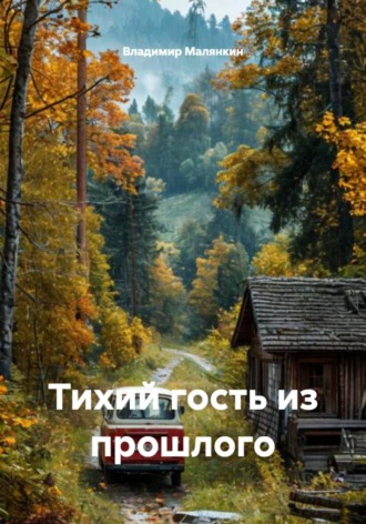 Владимир Юрьевич Малянкин. Тихий гость из прошлого