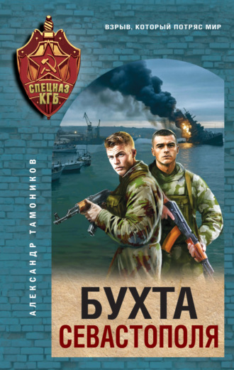 Бухта Севастополя. 