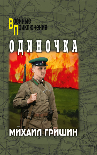Михаил Анатольевич Гришин. Одиночка