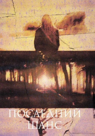 Последний шанс. Дарина Ливон