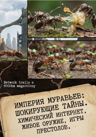 Наталия Сергеевна Михеева. Империя Муравьев