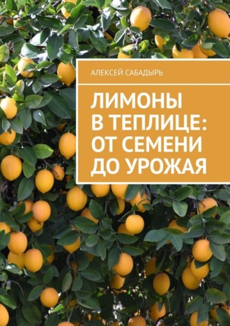 Алексей Сабадырь. Лимоны в теплице: от семени до урожая