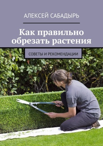 Как правильно обрезать растения. Советы и рекомендации. 