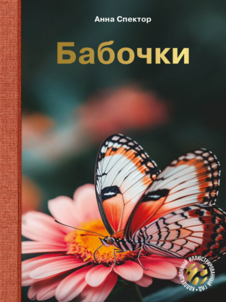 Бабочки. 